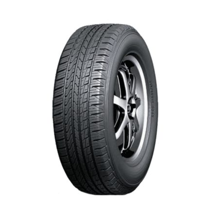 T 255/50R 19V H/T02 - Roadx